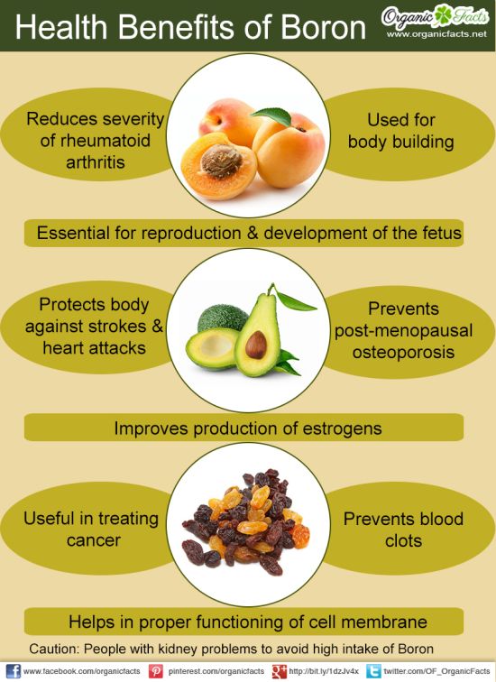 Natural Sources Of Estrogen For Dogs Natural Sources Of Estrogen For Dogs