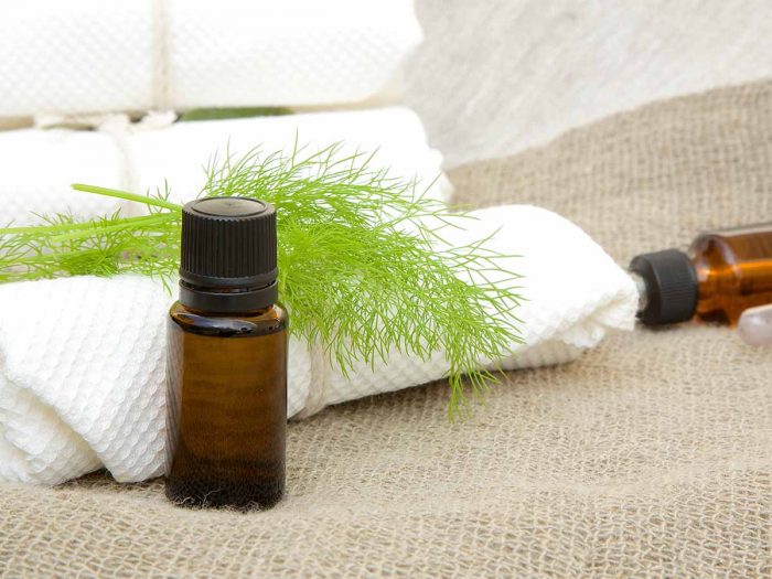 Dill essential oil in a bottle and dill herb on a table