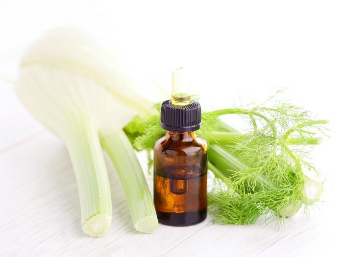 Fennel essential oil