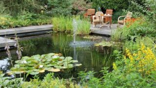 View of a pond and a patio surrounded by a garden