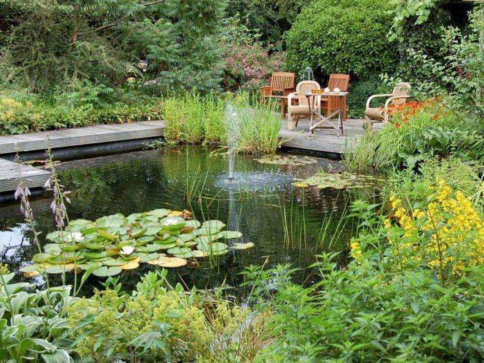 View of a pond and a patio surrounded by a garden