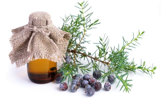Juniper oil