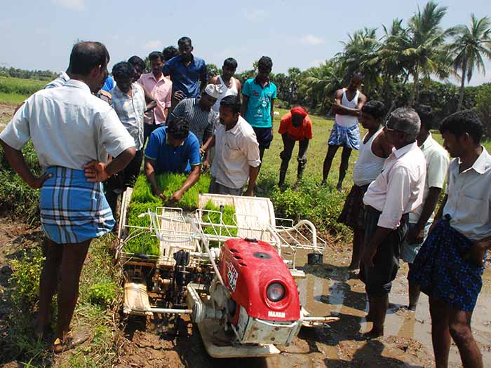 A group of farmers examining the quality of the crops