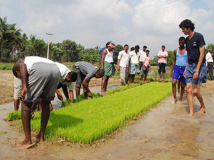 Farmers working in their fields