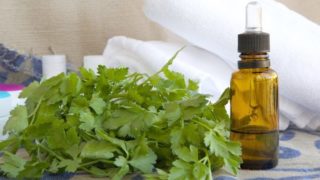 Fresh parsley oil and parsley with white folded towels in the background