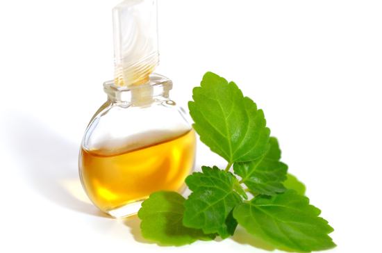 Patchouli essential oil