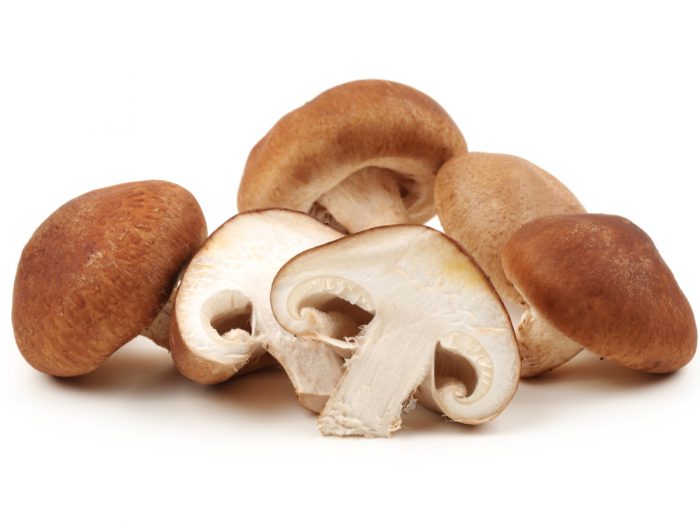 Shitake Mushroom - ZIJN CHAMPIGNONS GROENTEN, SCHIMMELS, VLEES OF FRUIT?