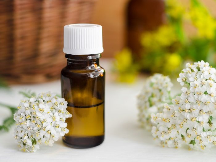 A bottle of yarrow oil with fresh white flowers on a wooden table