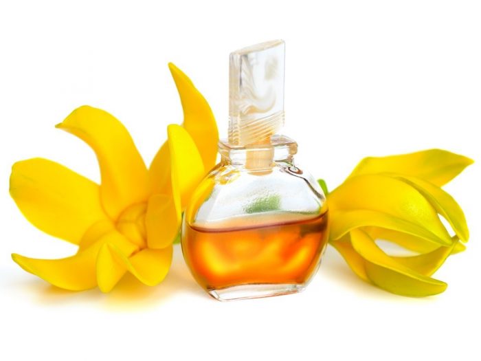 Ylang essential oil