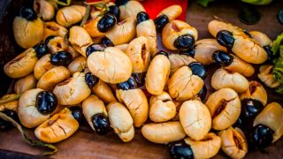 Close-up of Jamaican ackees with their pods on a wooden table
