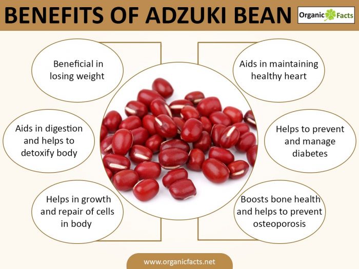 8 Interesting Benefits Of Adzuki Beans Organic Facts