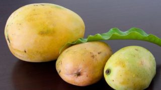 Mango in different sizes and a mango leaf on a counter