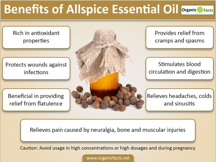 Infographic on the health benefits of allspice essential oil.