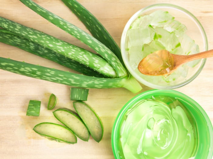 Fresh aloe vera, a bowl of aloe vera gel and a bowl of sliced aloe vera on a wooden table