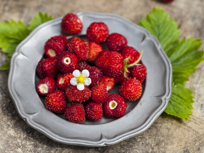 Close-up of a plate of strawberries.