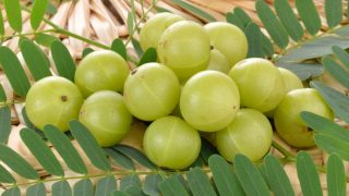 A close-up view of Indian gooseberry or amla with leaves
