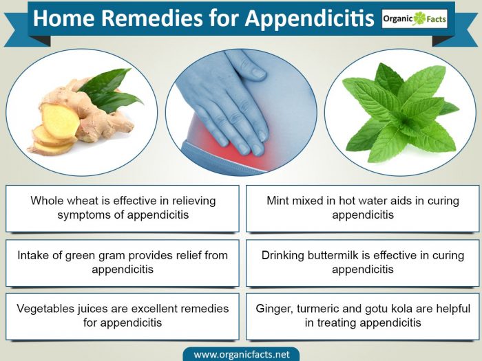 Home Remedies for Appendicitis Organic Facts