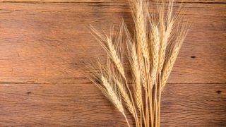 Barley ears on a wooden table