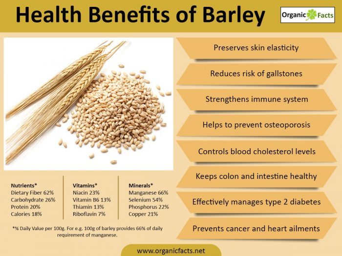 10 Best Barley Benefits SFMart Blog