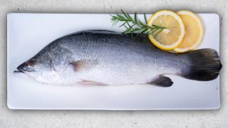 Barramundi fish on a white rectangular plate with lemon and dill