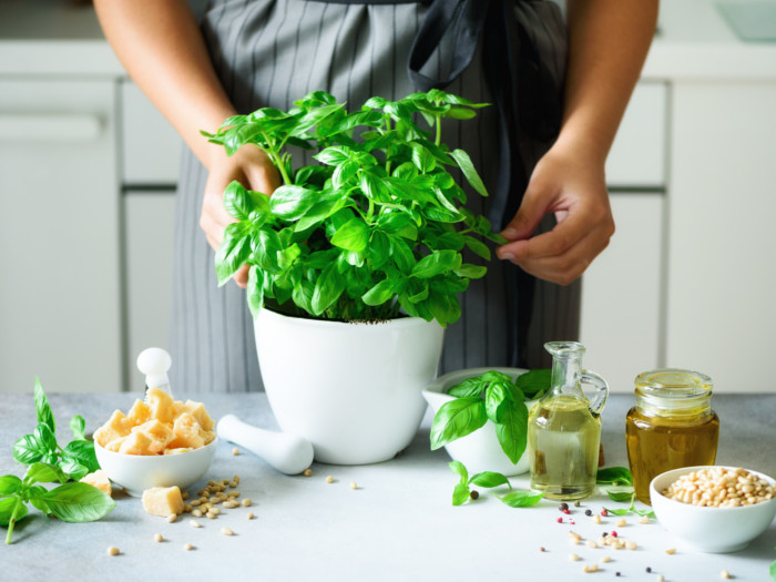 A woman touching a basil plant in a white pot, on a table, surrounded by basil seeds and basil oil