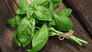 A bunch of basil leaves tied with a rope on a table