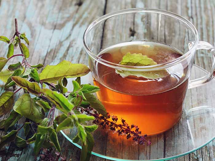 6 Amazing Health Benefits of Basil Tea Organic Facts