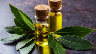 Bottles of bay essential oil with bay leaves placed around on a grey table
