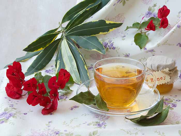 A cup of bay leaf tea kept beside bay flowers and leaves on a white tablecloth