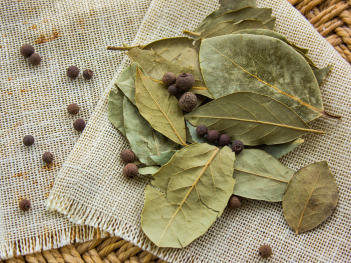 Guide to Bay Leaves