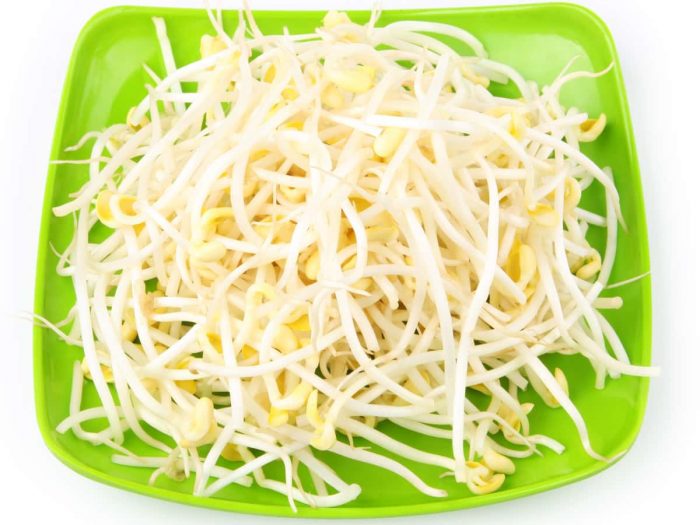 Bean sprout calories lulivancouver