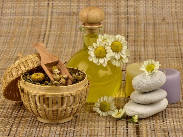 Chamomile oil bottle with fresh and dried chamomile flowers next to it