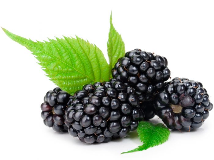 10 Amazing Benefits of Black Currant Oil Organic Facts