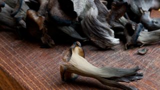 Black trumpet mushrooms on a wooden counter