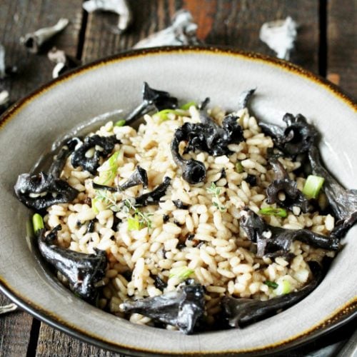 Risotto made with black trumpets and chanterelle