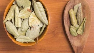 Dried boldo leaves in a wooden bowl and spoon on a wooden counter