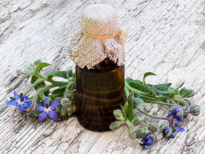 A small glass bottle containing borage oil, surrounded by borage flowers, and placed atop a wooden table.