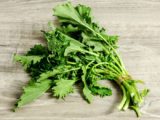10 Amazing Broccoli Rabe Substitutes | Organic Facts