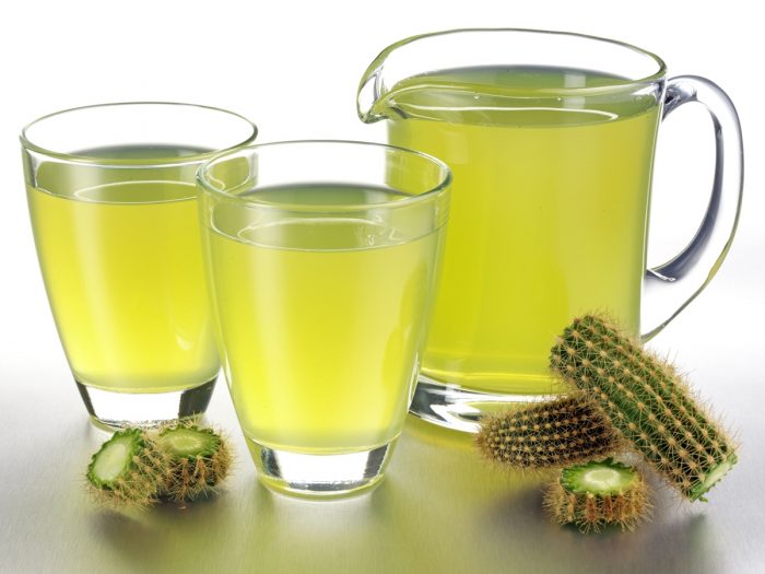 Three glasses of cactus juice kept beside cacti