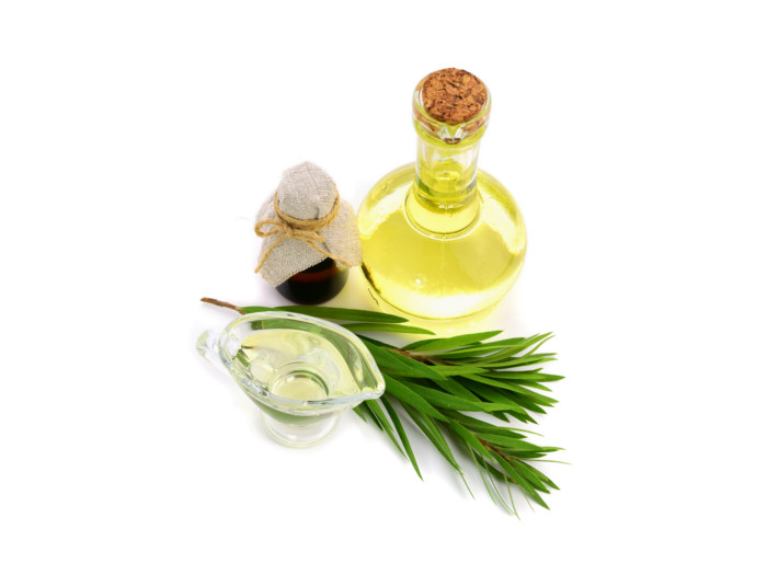 A jar and container of cajuput oil with fresh green cajuput leaves on a white background