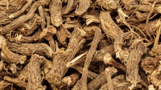 Closeup of dried calamus roots.