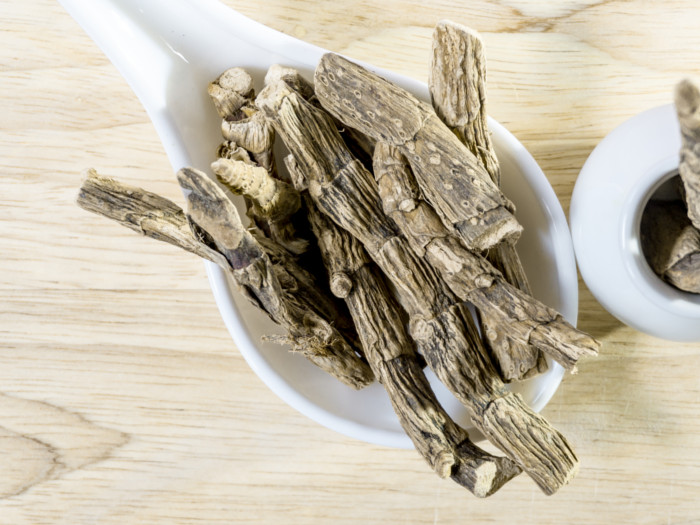Dried Acorus calamus roots in a white spoon
