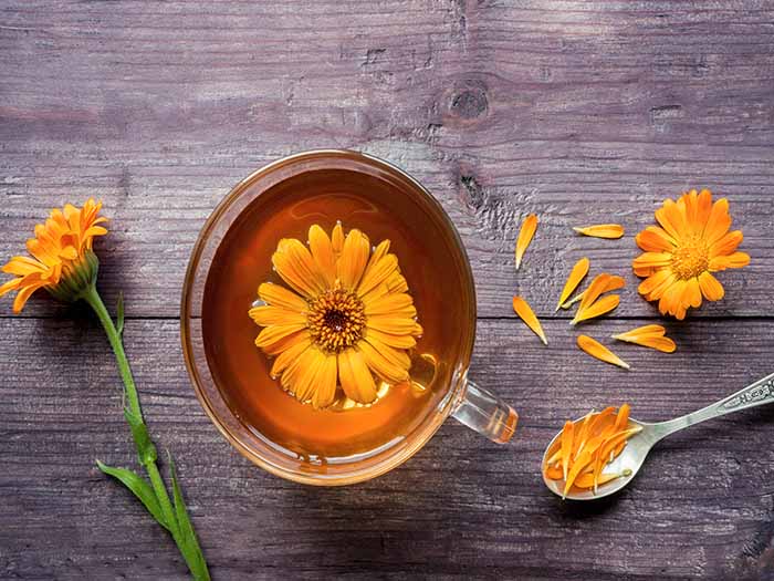 A flat lay picture of a cup of calendula tea with calendula flower on top