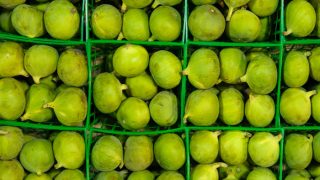 Calimyrna figs in green baskets