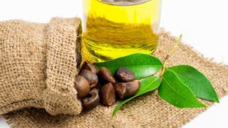 A jute sack of camellia seeds and leaves with a bottle of camellia oil