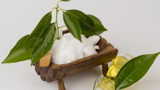 Camphor, gum camphor, formosan camphor, and laurel camphor