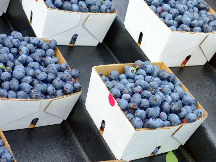 A picture showing many cardboard boxes filled with Canada blueberries