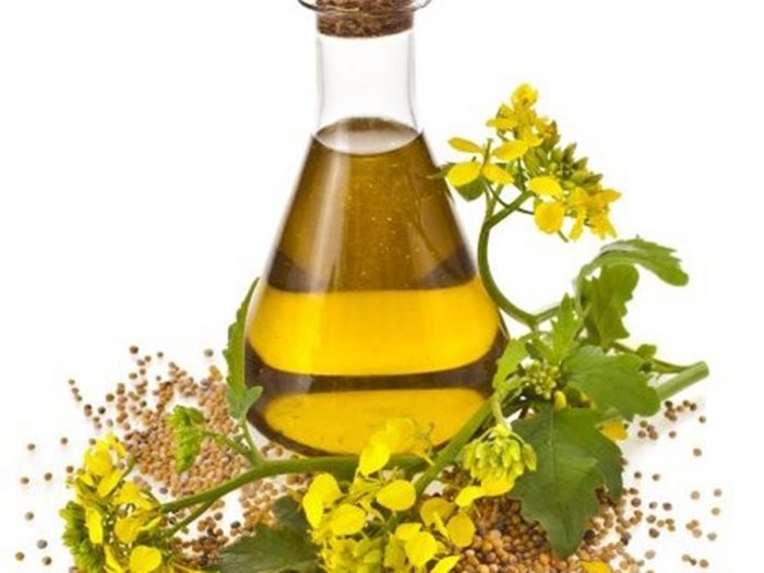 canolaoil