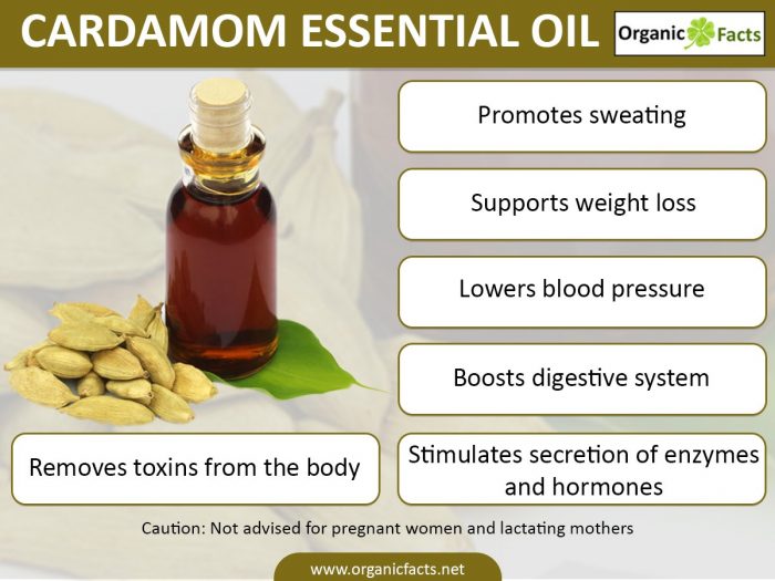 cardamominfographic