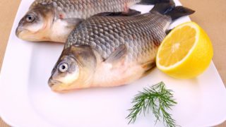 Two freshwater carps on a white plate with dill and lemon